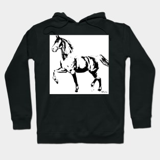 Horse: The Black and White Stallion Hoodie